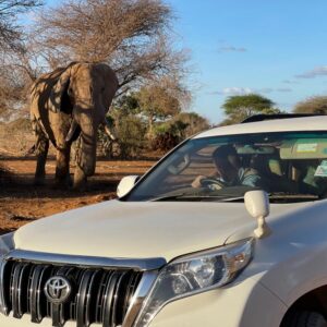 Prado Rental Mombasa