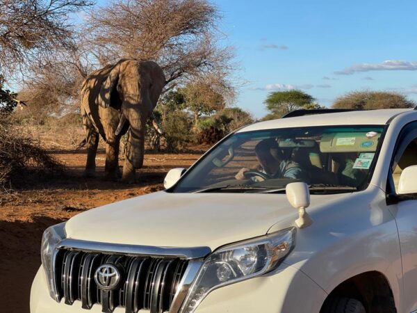 Prado Rental Mombasa