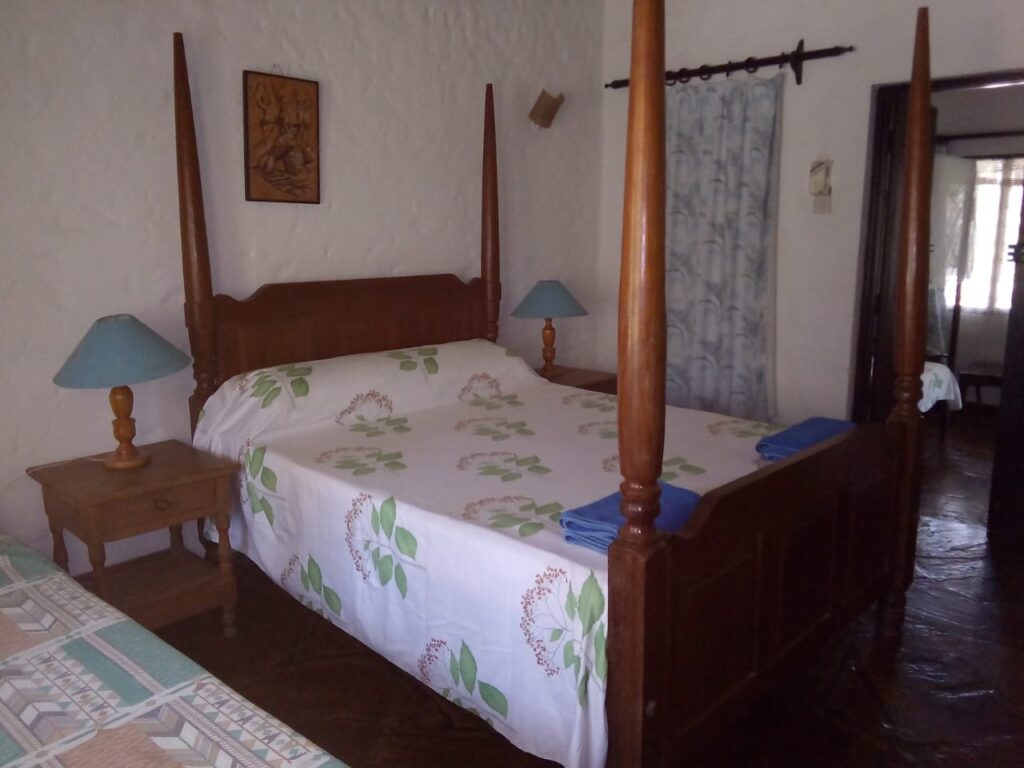 Bed